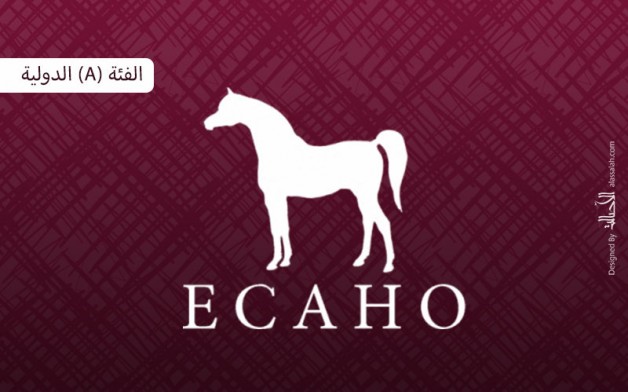 إضاءات على الكتاب الأزرق2020 للإيكاهو : الفئة (A) الدولية