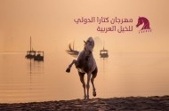 الإقبال الكثيف استدعى تعديل الجدول الى أربعة أيام لبطولة “تايتل شو” في مهرجان كتارا الدولي للخيل العربية