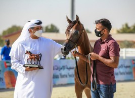 نتائج اليوم الثالث لبطولة الإمارات لمربي الخيول العربية 2021