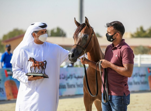 نتائج اليوم الثالث لبطولة الإمارات لمربي الخيول العربية 2021