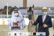 «الاريام» يحلق بذهبيتين في بطولة الإمارات لمربي الخيول العربية 2021