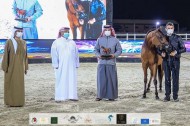 3 فضيات وبرونزية لمربط عجمان في بطولة الإمارات لمربي الخيول العربية 2021