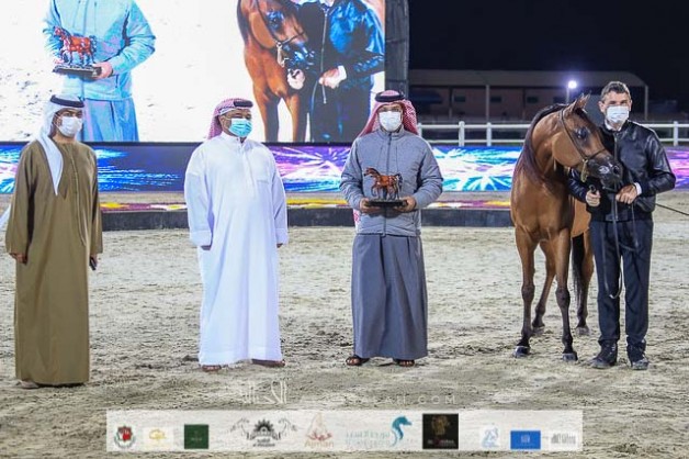 3 فضيات وبرونزية لمربط عجمان في بطولة الإمارات لمربي الخيول العربية 2021