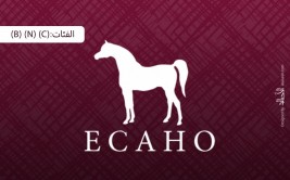 إضاءات على الكتاب الأزرق2020 للإيكاهو.. الفئات: (B) الدولية والمحلية – (N) الوطنية – (C) الدولية والمحلية