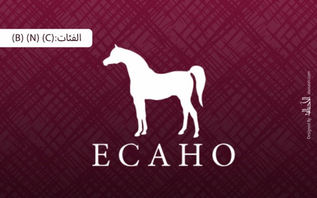 إضاءات على الكتاب الأزرق2020 للإيكاهو.. الفئات: (B) الدولية والمحلية – (N) الوطنية – (C) الدولية والمحلية