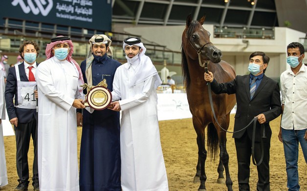 النتائج النهائية لبطولة قطر المحلية الـ 23 لجمال الخيل العربية الأصيلة