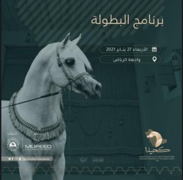 بطولة المملكة لجمال الخيل العربية (كحيلة) 2021 تنطلق مساء غدٍ الاربعاء – برنامج البطولة