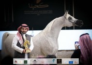 نتائج اليوم الثاني لبطولة المملكة لجمال الخيل العربية (كحيلة) 2021