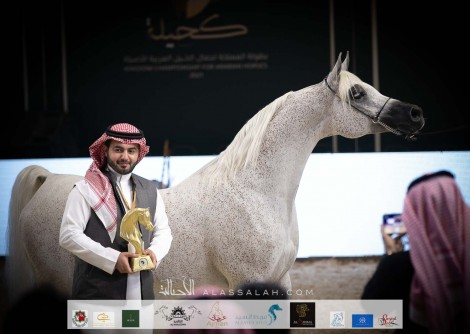 نتائج اليوم الثاني لبطولة المملكة لجمال الخيل العربية (كحيلة) 2021