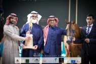 ذهب وفضة لمربط السيد في بطولة المملكة لجمال الخيل العربية (كحيلة) 2021