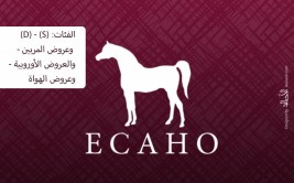 إضاءات على الكتاب الأزرق 2020 للإيكاهو.. الفئات: (D) الإقليمية – (S) السلالات المحددة – عروض المربين – العروض الأوروبية – عروض الهواة