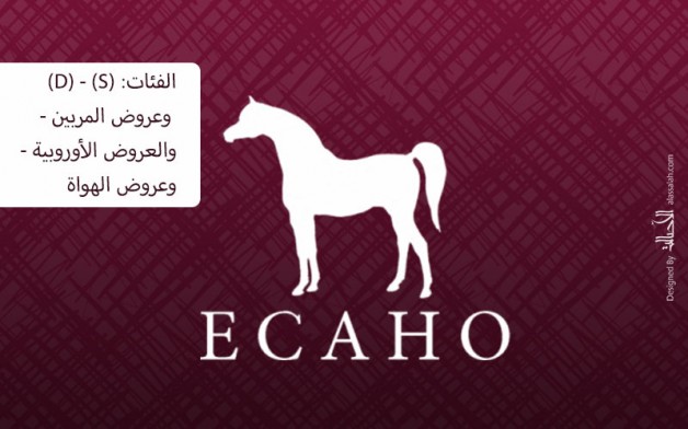 إضاءات على الكتاب الأزرق 2020 للإيكاهو.. الفئات: (D) الإقليمية – (S) السلالات المحددة – عروض المربين – العروض الأوروبية – عروض الهواة