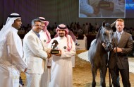 ختام «دولية» دبي للجواد العربي اليوم بـ «المسابقات الكبرى»