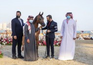 5 القاب ملونة لمربط الشقب في ختام مهرجان “كتارا” الدولي للخيل العربية 2021