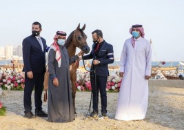 5 القاب ملونة لمربط الشقب في ختام مهرجان “كتارا” الدولي للخيل العربية 2021