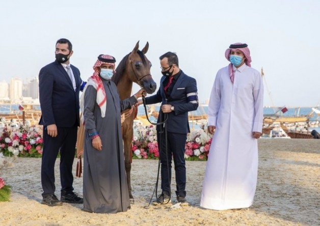 5 القاب ملونة لمربط الشقب في ختام مهرجان “كتارا” الدولي للخيل العربية 2021