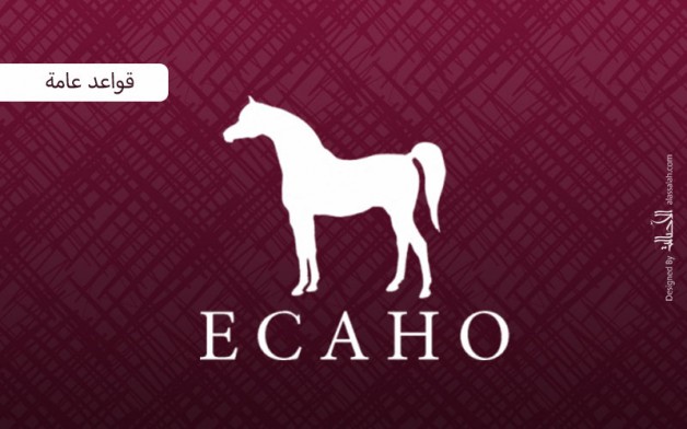 إضاءات على الكتاب الأزرق2020 للإيكاهو.. قواعد عامة