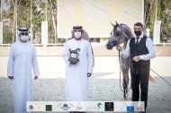 نتائج اليوم الثاني لبطولة أبوظبي الدولية لجمال الخيل العربية 2021 – صور