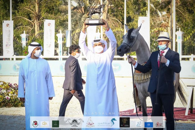 ذهبية وفضيتان للـ«الأريام» في بطولة أبوظبي الدولية لجمال الخيل العربية 2021