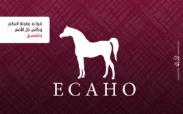 إضاءات على الكتاب الأزرق2020 للإيكاهو: قواعد بطولة العالم وكأس كل الأمم بالتفصيل