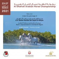 تحديث: بطولة الظفرة لجمال الخيل العربية 2021 لفترة 5 أيام من 23 الى 27 مارس