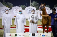 نتائج اليوم الثاني لمهرجان الشارقة ٢٠٢١ الدولي الثاني والعشرون للجواد العربي