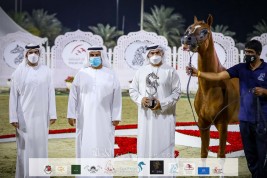 نتائج اليوم الثاني لمهرجان الشارقة ٢٠٢١ الدولي الثاني والعشرون للجواد العربي