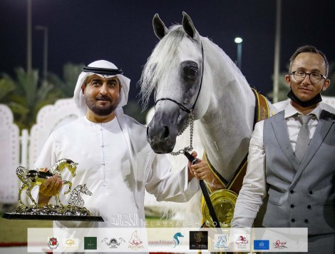 النتائج النهائية بالصور لمهرجان الشارقة الدولي 2021 الثاني والعشرون للجواد العربي