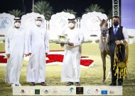 خيول مربط عجمان تتألق بذهبية وبرونزيتان  في ختام مهرجان الشارقة 2021