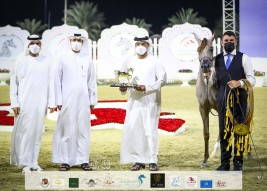 خيول مربط عجمان تتألق بذهبية وبرونزيتان  في ختام مهرجان الشارقة 2021