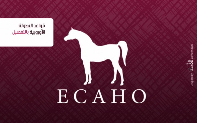 إضاءات على الكتاب الأزرق2020 للإيكاهو.. قواعد البطولة الأوروبية بالتفصيل