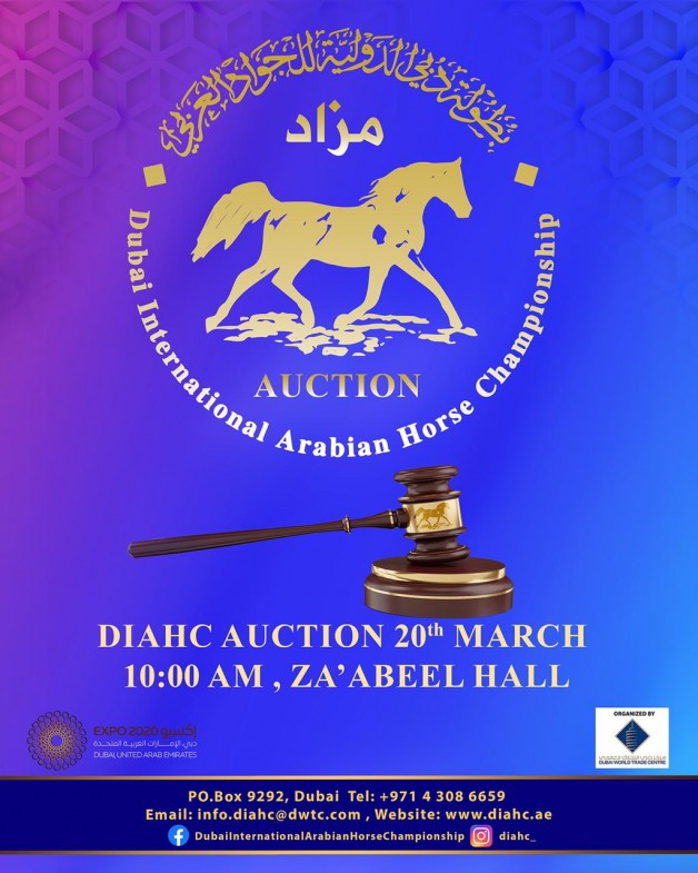 مزاد الخيول المصاحب لبطولة دبي الدولية يوم السبت 20 مارس