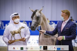 نتائج اليوم الأول لبطولة دبي الدولية للجواد العربي 2021
