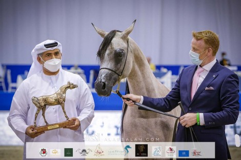 نتائج اليوم الأول لبطولة دبي الدولية للجواد العربي 2021