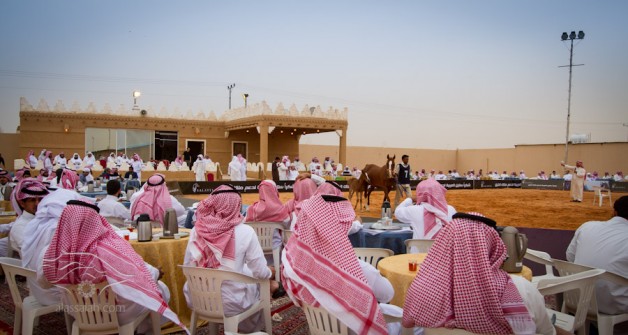 مزاد مربط التنهاة لخيل الملاك وإجمالي مبيعات بلغ مليون ريال تقريباً