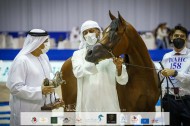 نتائج اليوم الثاني لبطولة دبي الدولية للجواد العربي 2021