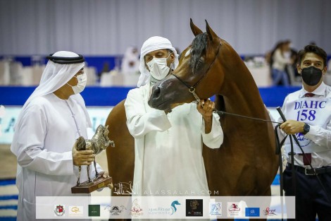 نتائج اليوم الثاني لبطولة دبي الدولية للجواد العربي 2021