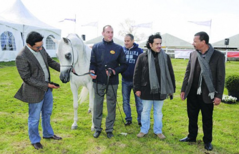 مربط (النايفات) يحقق بطولة بلجيكا