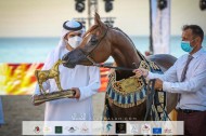 النتائج النهائية بالصور لبطولة الظفرة 2021 لجمال الخيل العربية