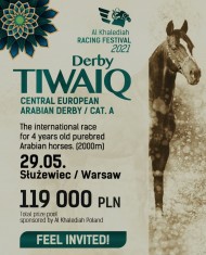 “ديربي طويق” برعاية إسطبلات الخالدية يوم السبت ببولندا