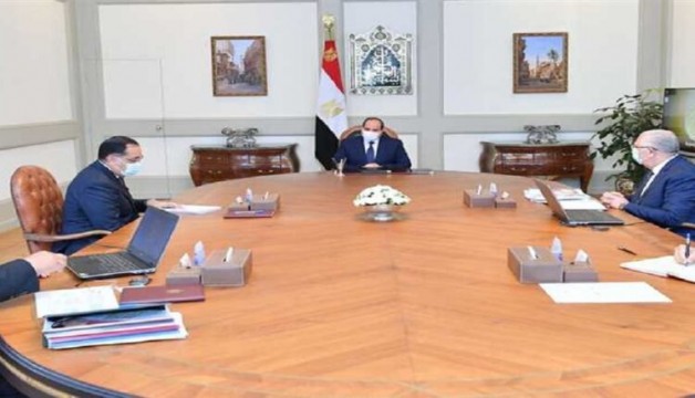 تطوير محطة الزهراء للخيول العربية بالشراكة مع أعرق الخبرات الدولية