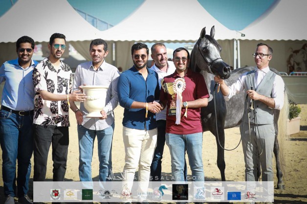 نتائج اليوم الأول لبطولة منتون الدولية لجمال الخيل العربية 2021