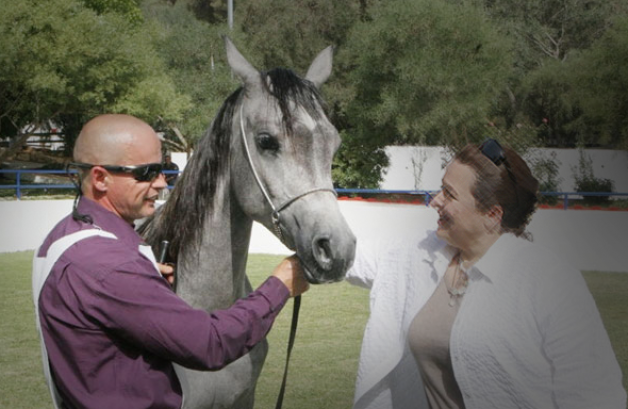 الأميرة عالية ترعى البطولة الوطنية للخيول العربية الاصيلة