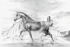 الخيول: من السعودية إلى مهرجان رويال أسكوت.. معرض في المتحف البريطاني