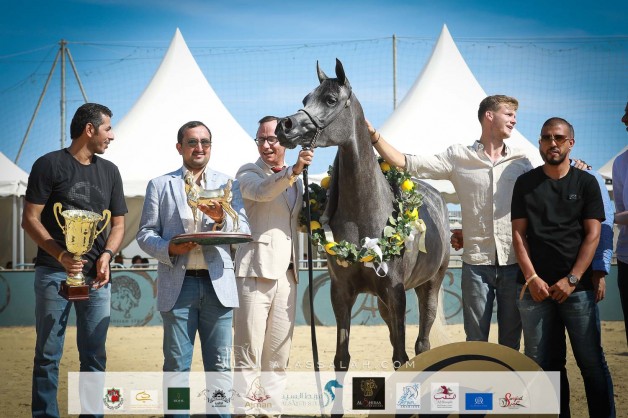 سوار الشقب تبهر الحضور بتألقها وتحصد ذهبية المهرات في بطولة منتون 2021