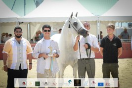 “أكمل” بالذهب يحلق عالياً في سماء منتون 2021 بالملك “اكسكاليبور”