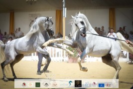 صور مقتطفة من بطولة منتون 2021 اليوم الختامي