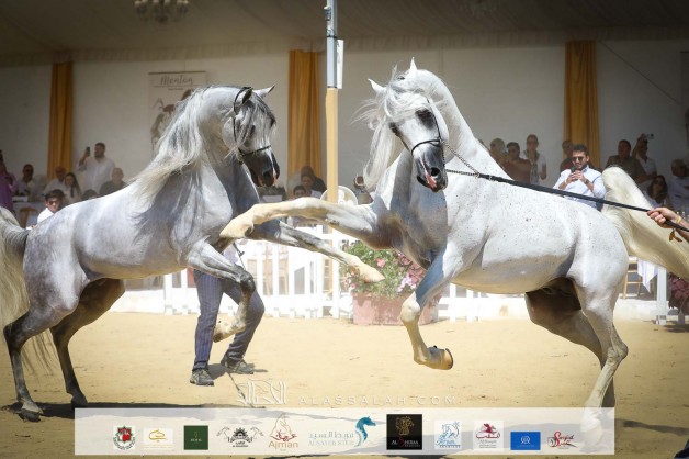 صور مقتطفة من بطولة منتون 2021 اليوم الختامي