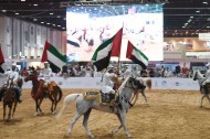 قفزة نوعية تشهدها فعاليات الخيل في معرض أبوظبي الدولي للصيد والفروسية