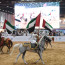 قفزة نوعية تشهدها فعاليات الخيل في معرض أبوظبي الدولي للصيد والفروسية